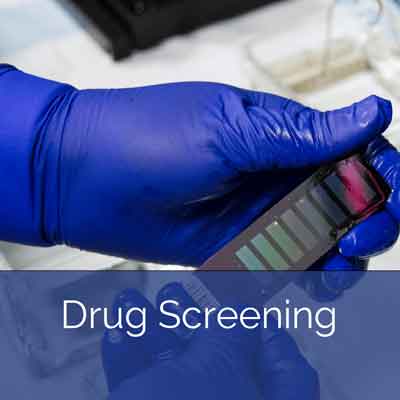 Drug Screening