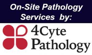 On-Site Pathology Services